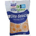 Семена Подсолнуха ЕС Альфа(Стандарт+)