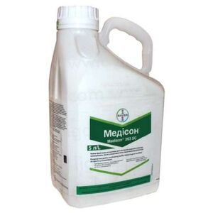 Медісон  (Байєр, Germany) 