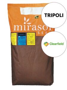 Тріполі (Mirasol Seed, Україна) 