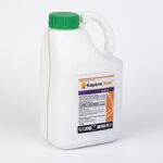 Карате Зеон 050 CS, 5 л