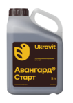 АВАНГАРД Р Старт