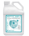 Нертус Бор