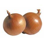 Цибуля KS 725 F1