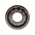 Підшипник в зборі