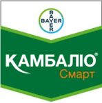 Камбалио® смарт