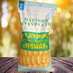 Кукурудза Хотин ДБ 