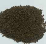 Люцерна магнічена Надія