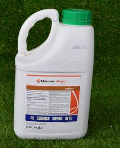 МАКСИМ ФОРТЕ 050 FS, т. к. с. (Сингента, Switzerland) 