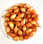 Цибуля-саджанка (сіянка, тиканка) Тріумф - 0.5 кг