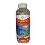 Гродил Макси