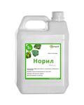 Норіл (Нурел Д)
