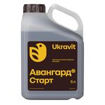 АВАНГАРД Р Старт