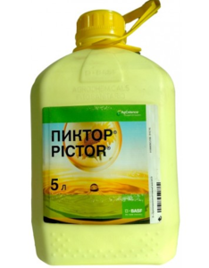 Піктор 5 л (Басф, Germany) 