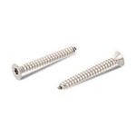 F01070011 Шуруп 4-2X9-5T.E.