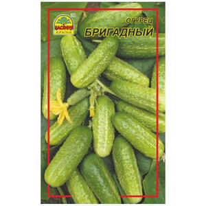 Насіння огірка Бригадний 5 г (Насіння країни) (А-маркет, Ukraine) 