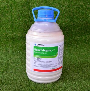 ПРІМА ФОРТЕ 195 , с. е. (Сингента, Switzerland) 