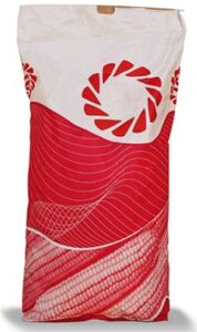 Насіння кукурудзи ЛГ 31272 Форс Зеа (2022) (Лімагрейн, France) 