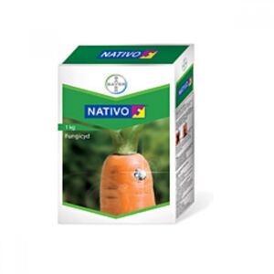 Натіво (Байєр, Germany) 