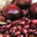 Цибуля сівок Ред Барон 0,5 кг