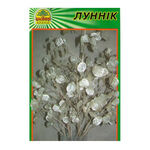 Насіння Лунник (лунарія) 10 шт. (Насіння країни)