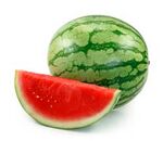 Кавун KS 1819 F1