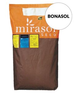 Бонасол (Mirasol Seed, Україна) 