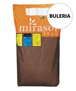 Булерія (Mirasol Seed, Україна) 