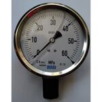 213.53.063.0 Манометр 25 бар