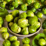 Насіння капусти брюссельської Гронінгер 100 г