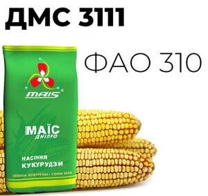 Семена гибрида кукурузы ДМС 3111  (Маїс Дніпро, Ukraine) 