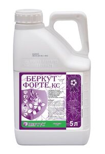 Беркут Форте (Нертус, Hungary) 