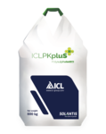 ICL NPKpluS 5-25-5 (15CaO+3MgO+23SO3)